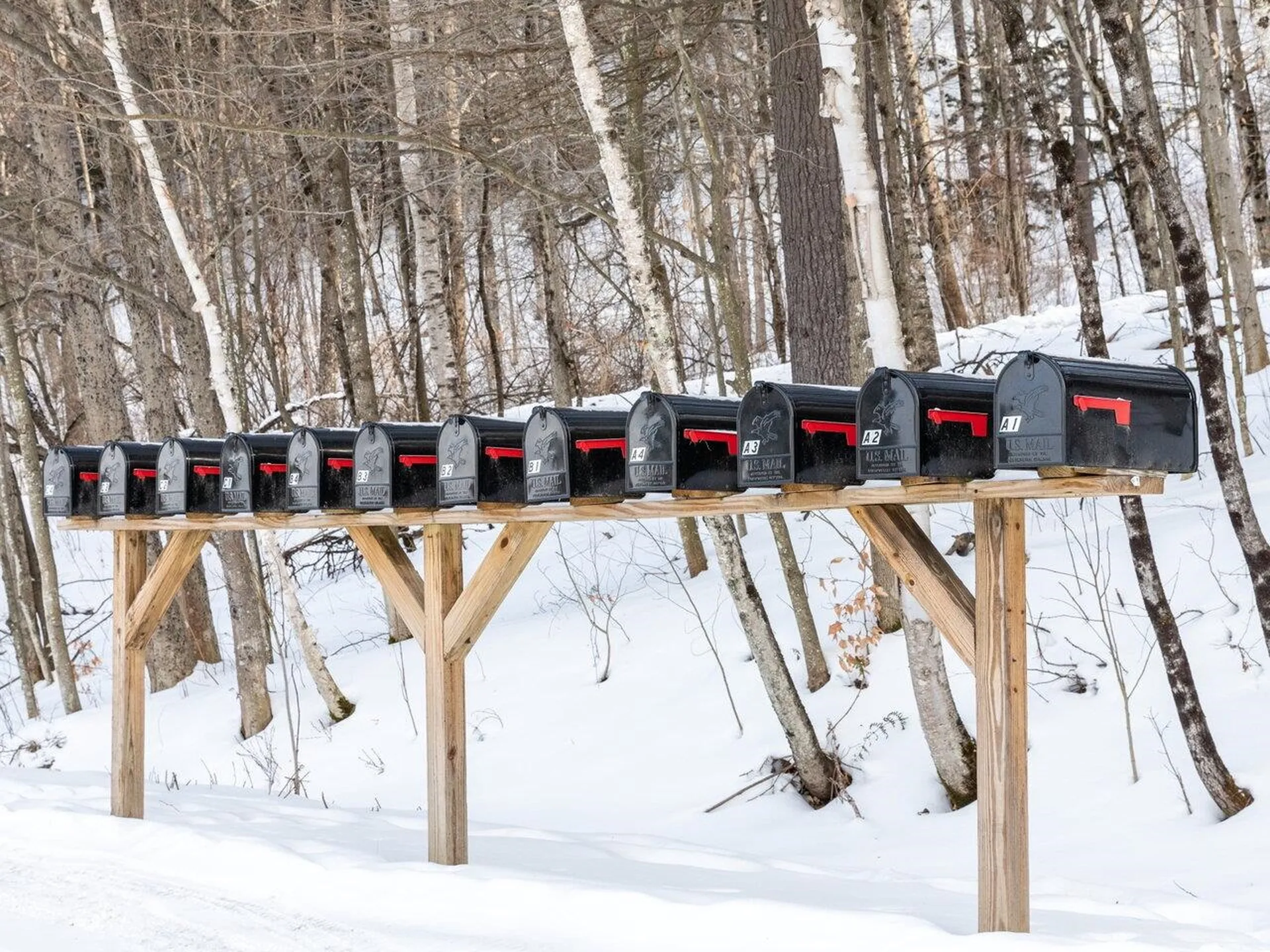 24 Snowdrift Lane Stowe VT 05672