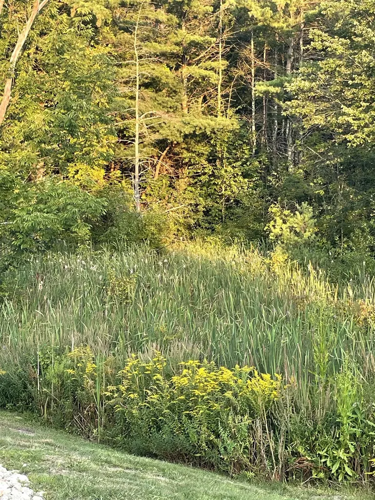 2 Trestle Way Dover NH 03820