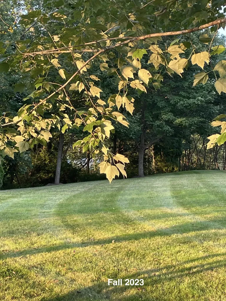 2 Trestle Way Dover NH 03820