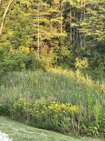 2 Trestle Way Dover NH 03820