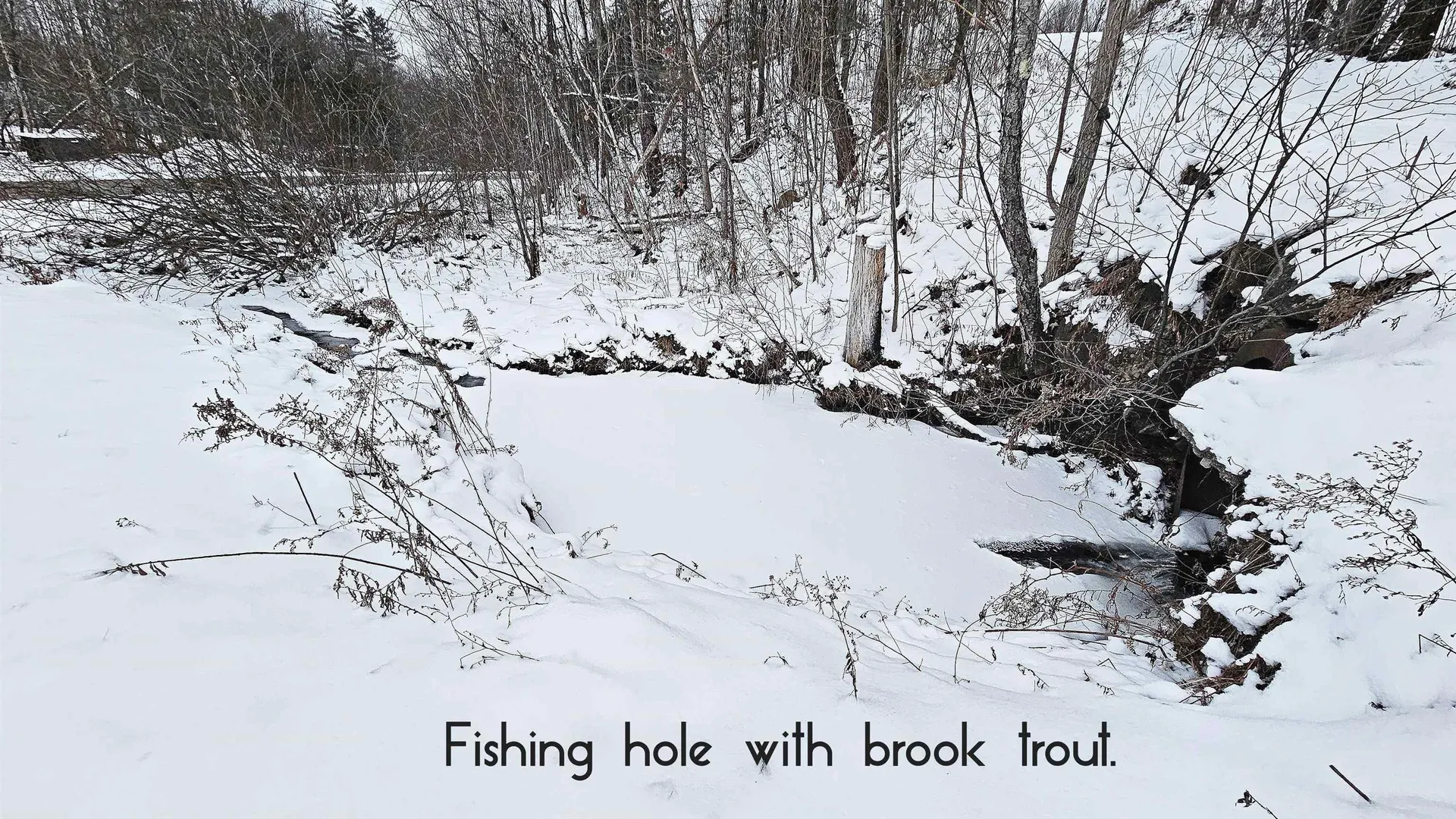 1335 Downsingsville Road Lincoln VT 05443