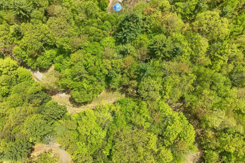 Mountain Road Sanbornton NH 03269