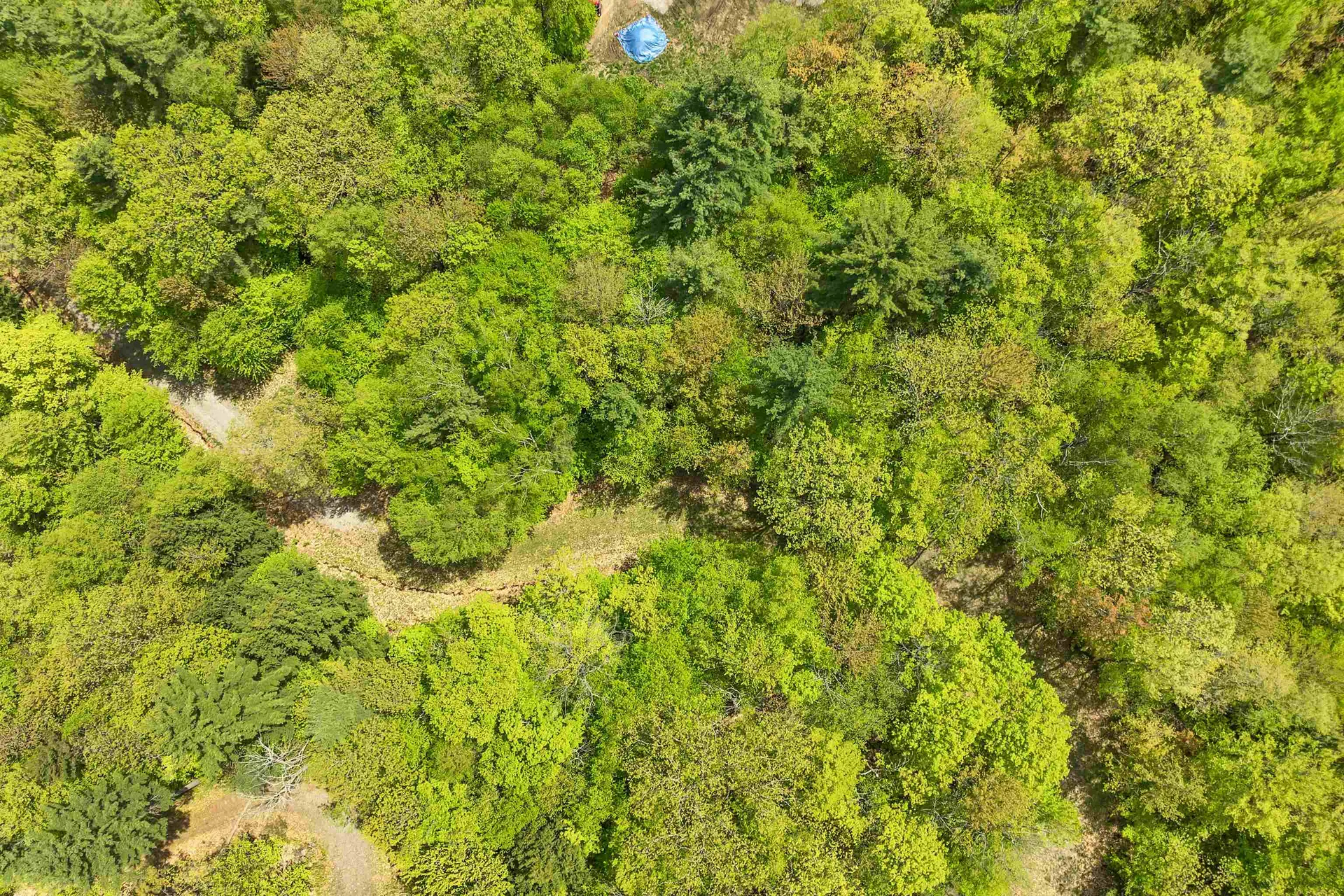 Mountain Road Sanbornton NH 03269