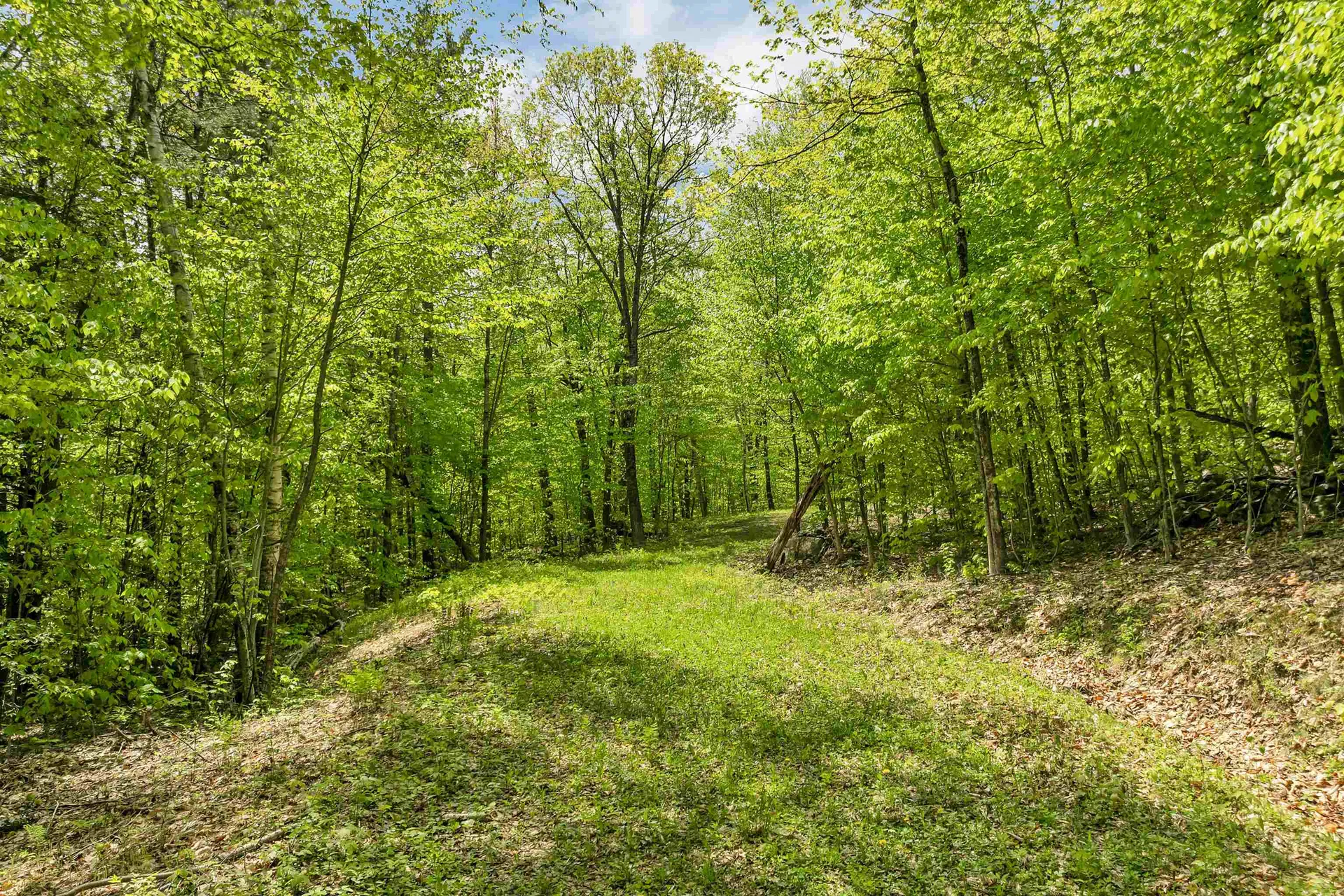 Mountain Road Sanbornton NH 03269