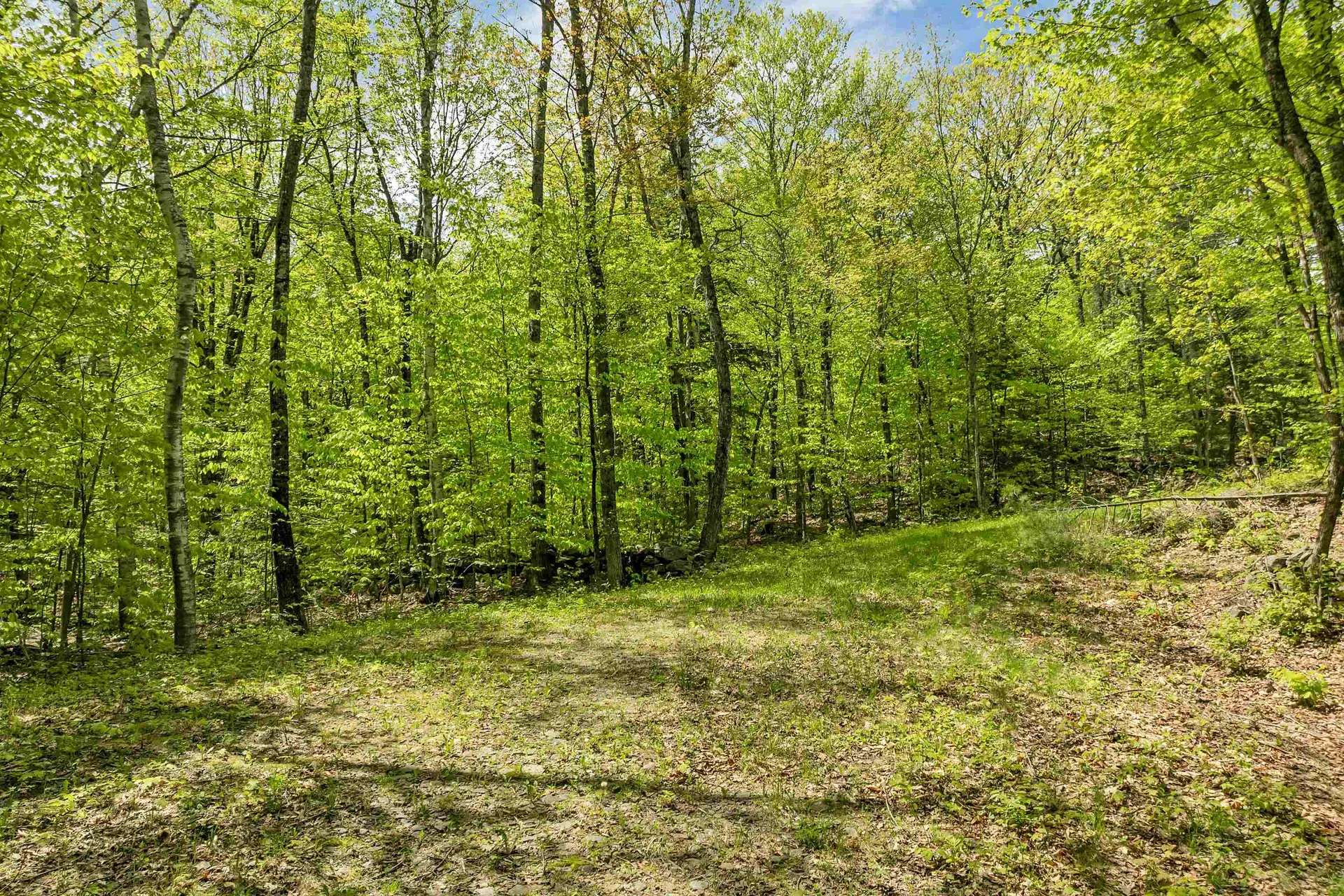 Mountain Road Sanbornton NH 03269