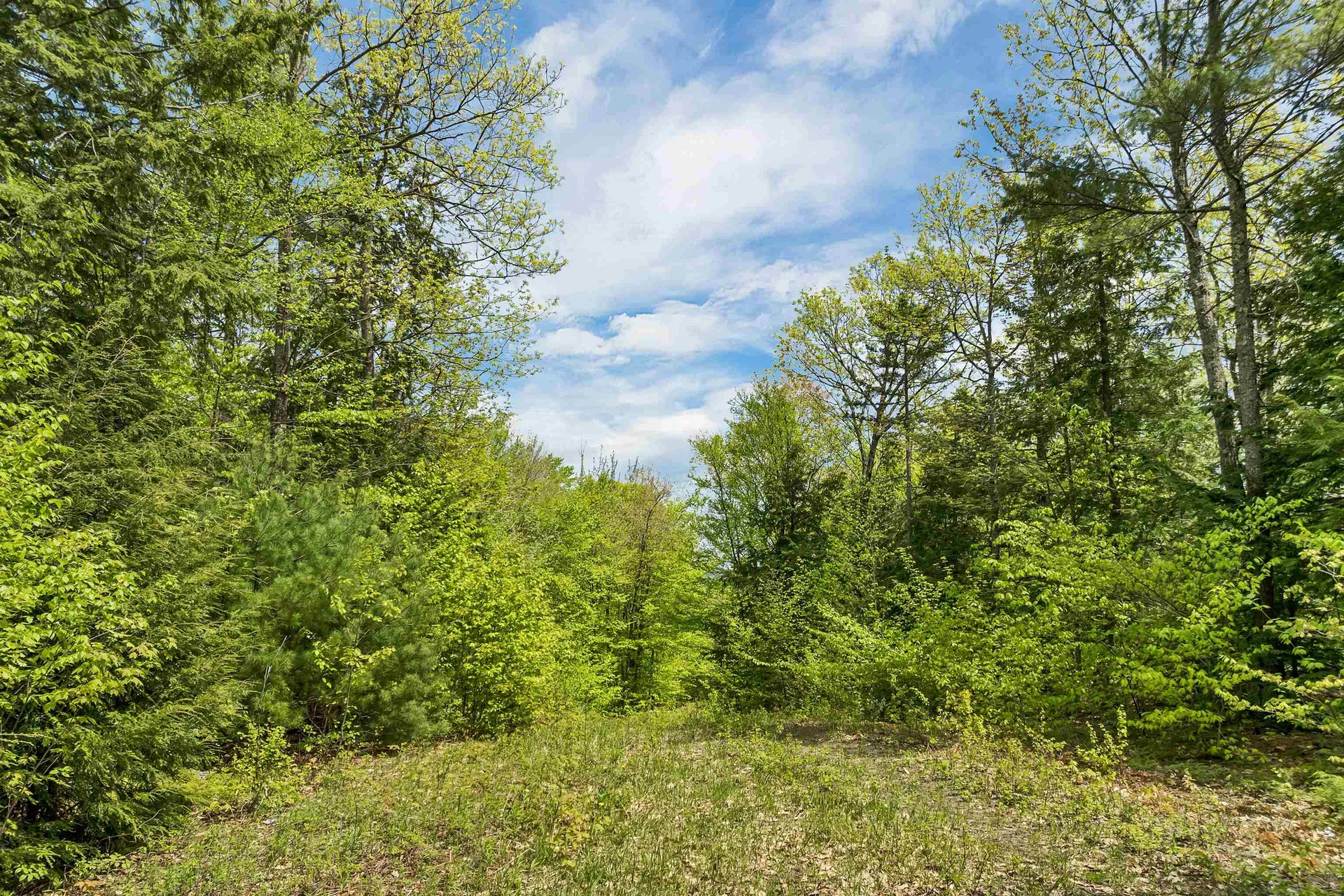 Mountain Road Sanbornton NH 03269