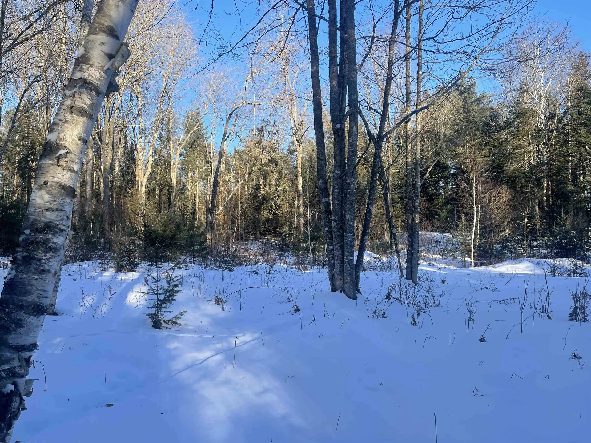 590 Woodward Road Concord VT 05824