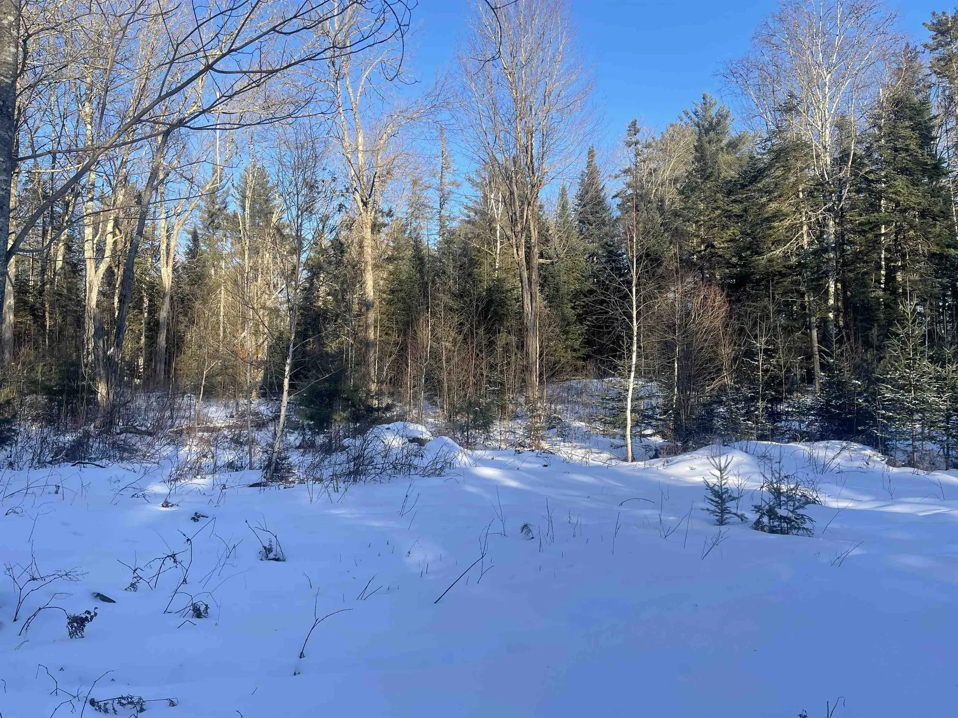 590 Woodward Road Concord VT 05824