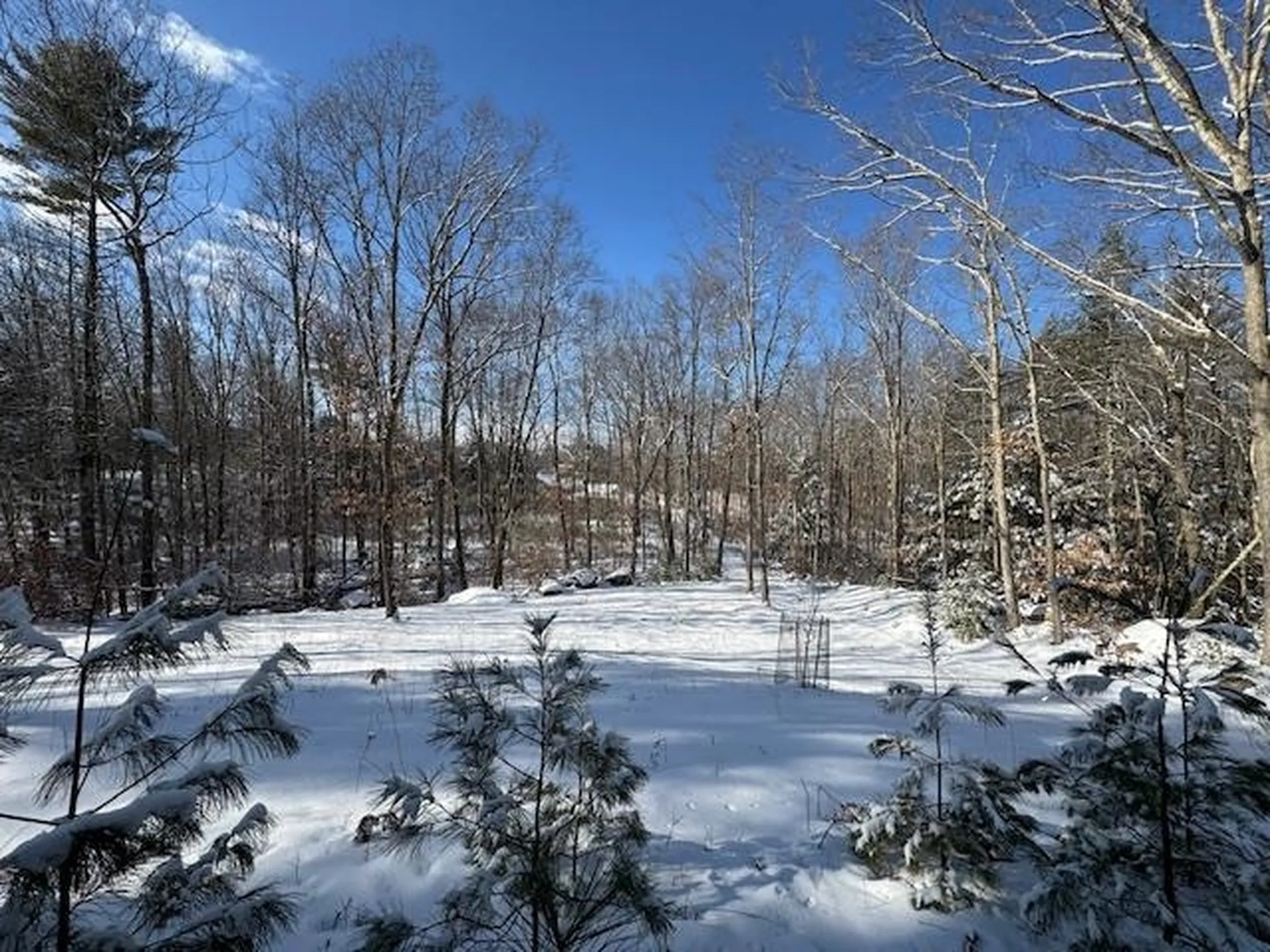 38 Marsh Road Barrington NH 03825