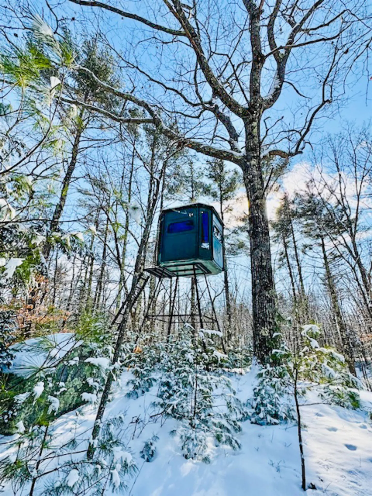 38 Marsh Road Barrington NH 03825