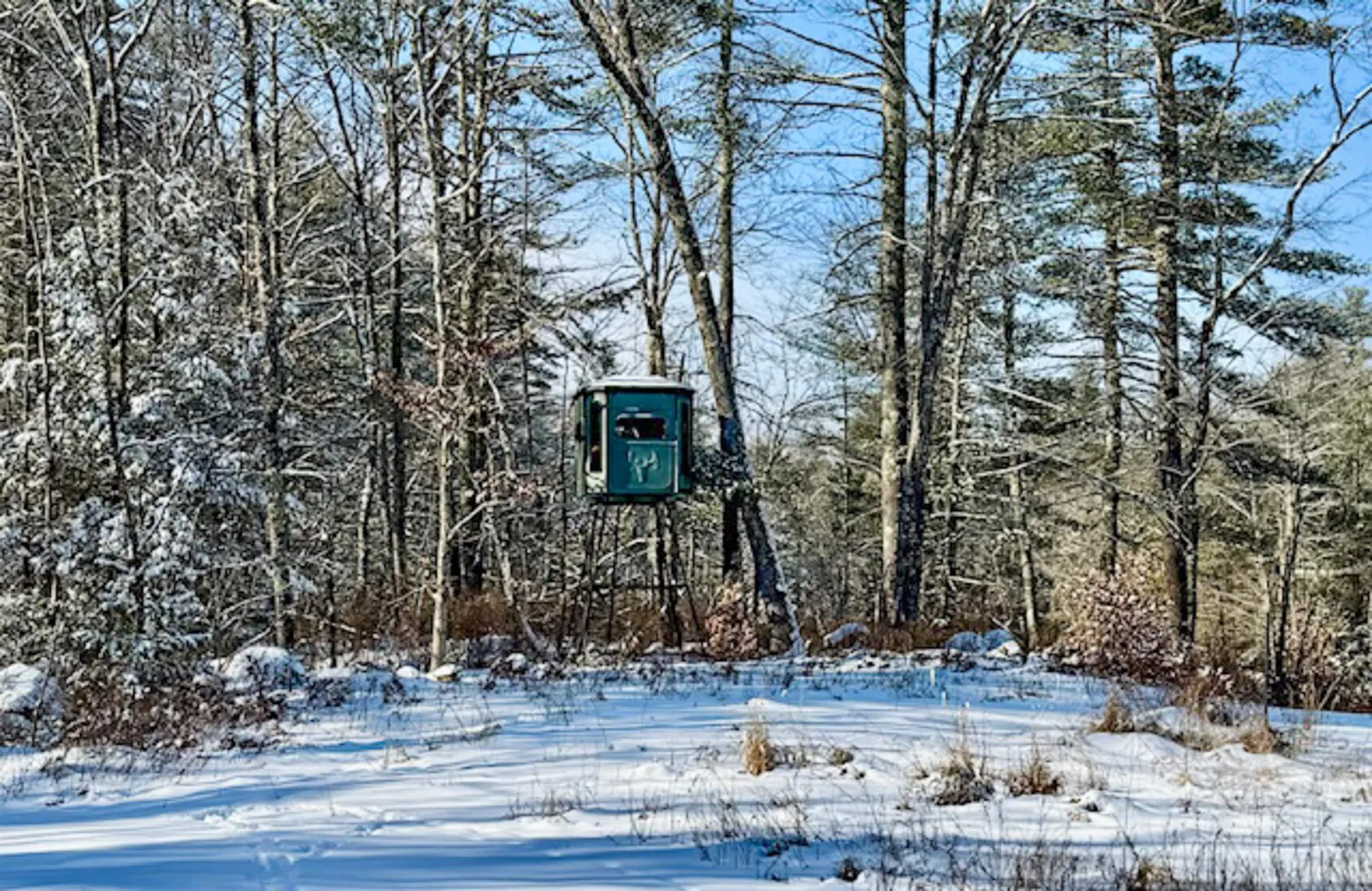 38 Marsh Road Barrington NH 03825