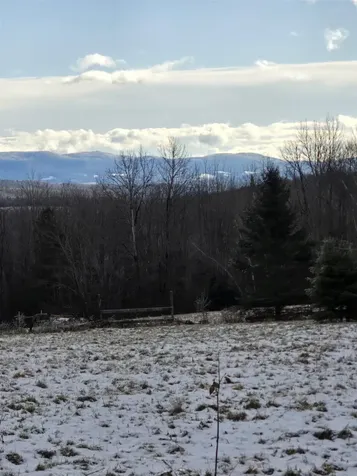 1177 Sheffield Square Road Sheffield VT 05866