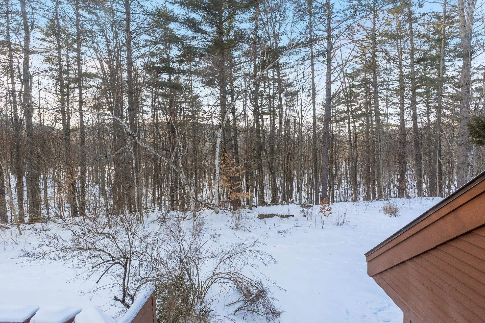 228 Birch Landing Road Plymouth VT 05056