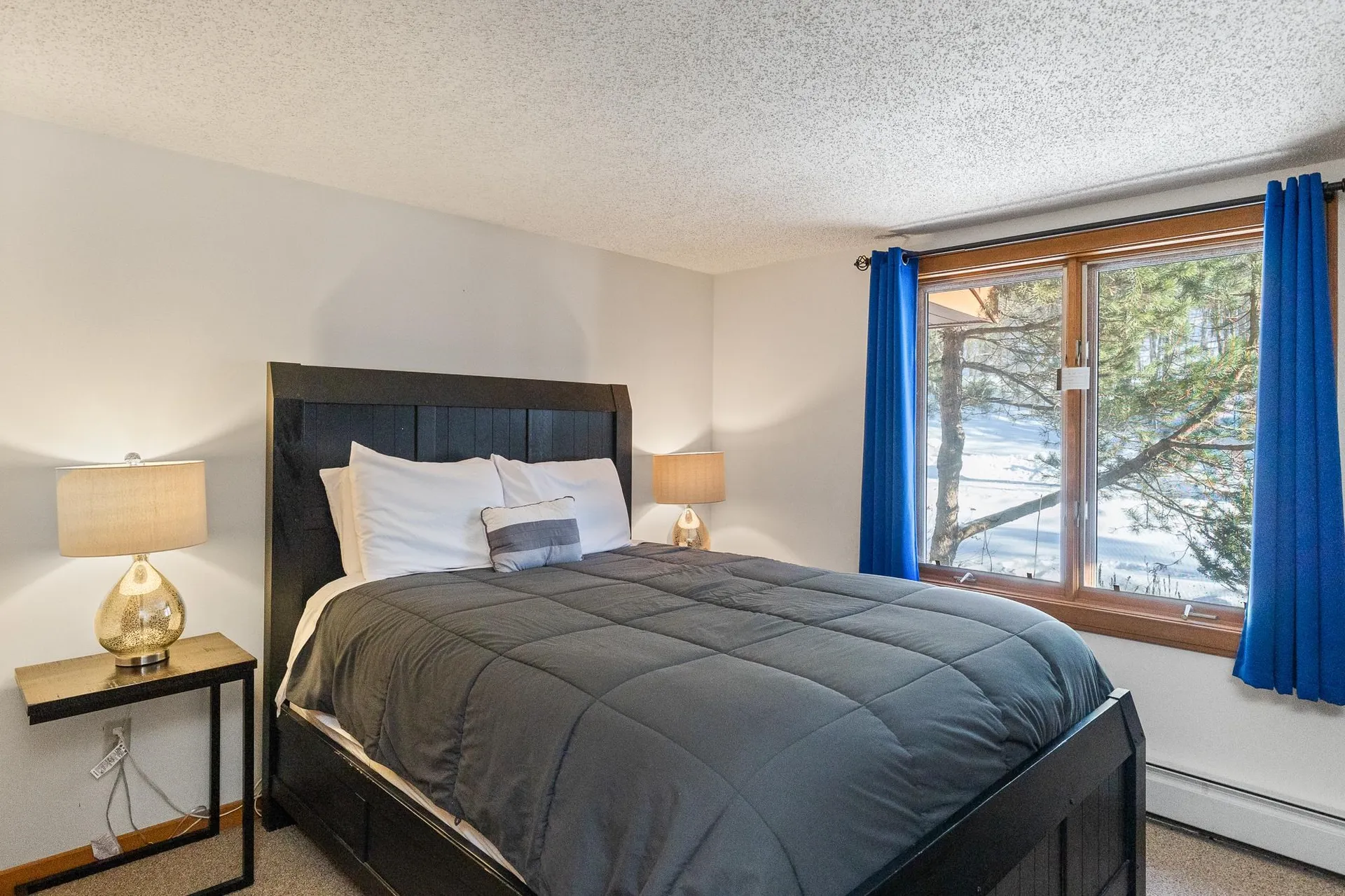 228 Birch Landing Road Plymouth VT 05056