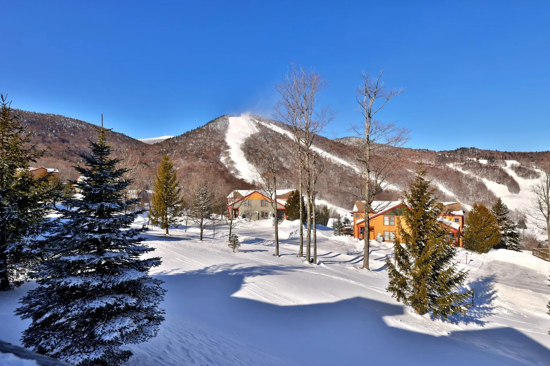 94 Glissade Drive Killington VT 05751