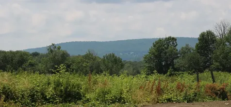 Tbd Gilbert Road Williamstown VT 05679