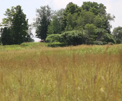 Tbd Gilbert Road Williamstown VT 05679