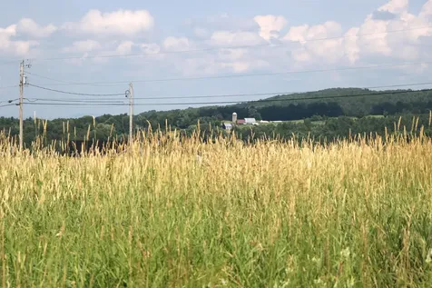 Tbd Gilbert Road Williamstown VT 05679