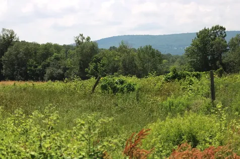 Tbd Gilbert Road Williamstown VT 05679