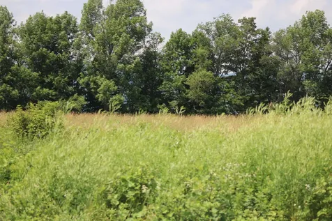 Tbd Gilbert Road Williamstown VT 05679