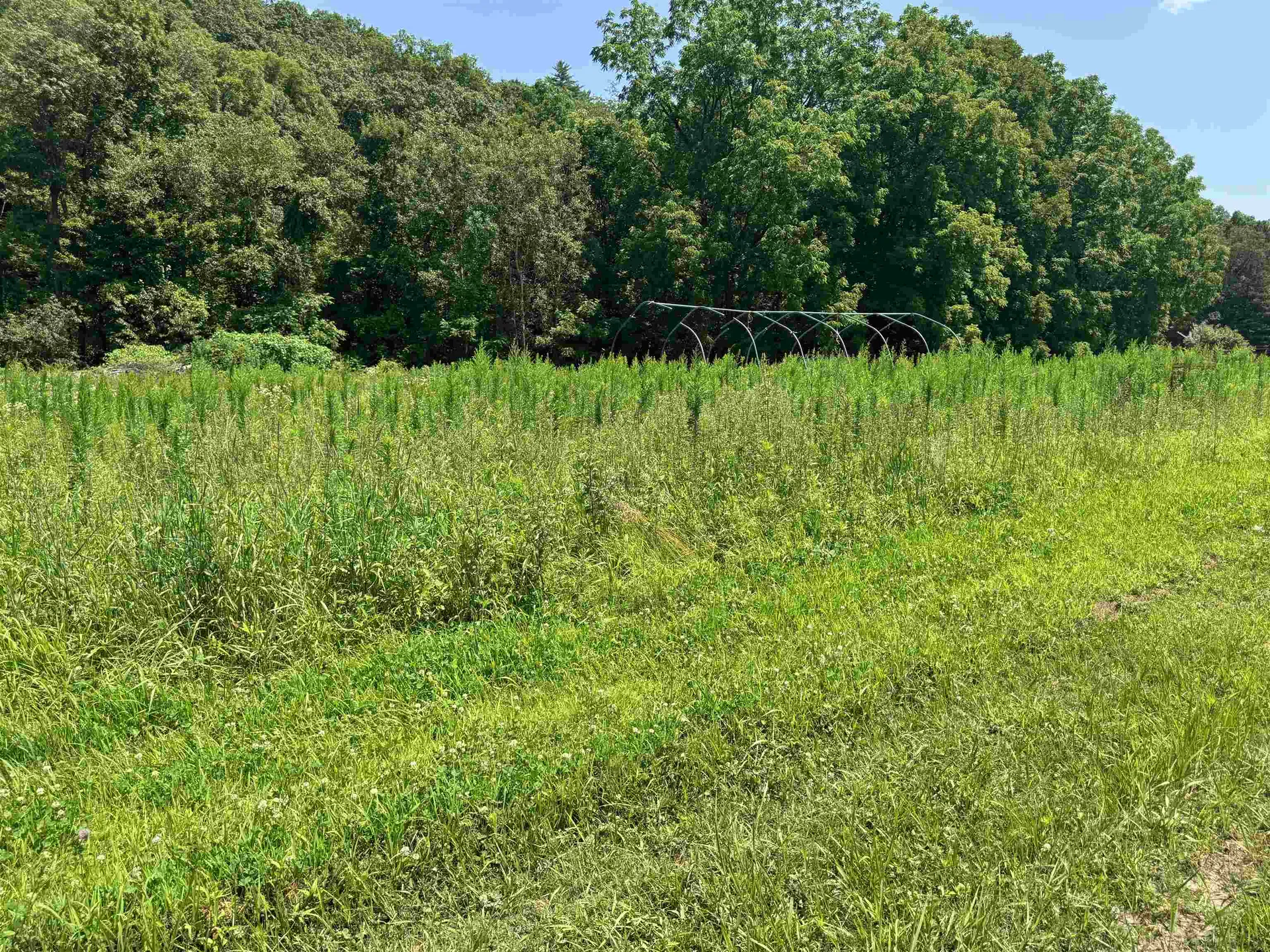 188 Upper Walpole Road Walpole NH 03608