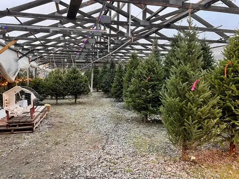 535 Us Route 302 Berlin VT 05641