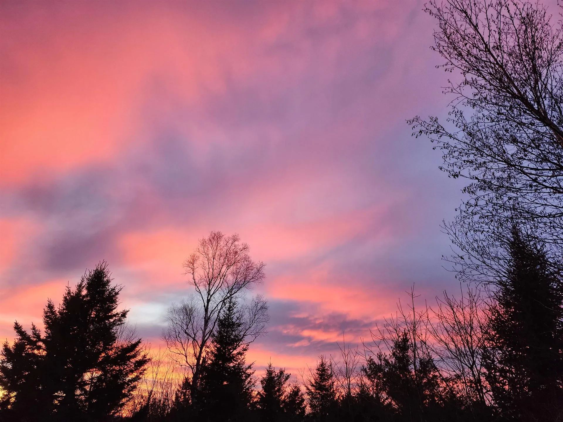 71 Weetamoo Trail Campton NH 03223