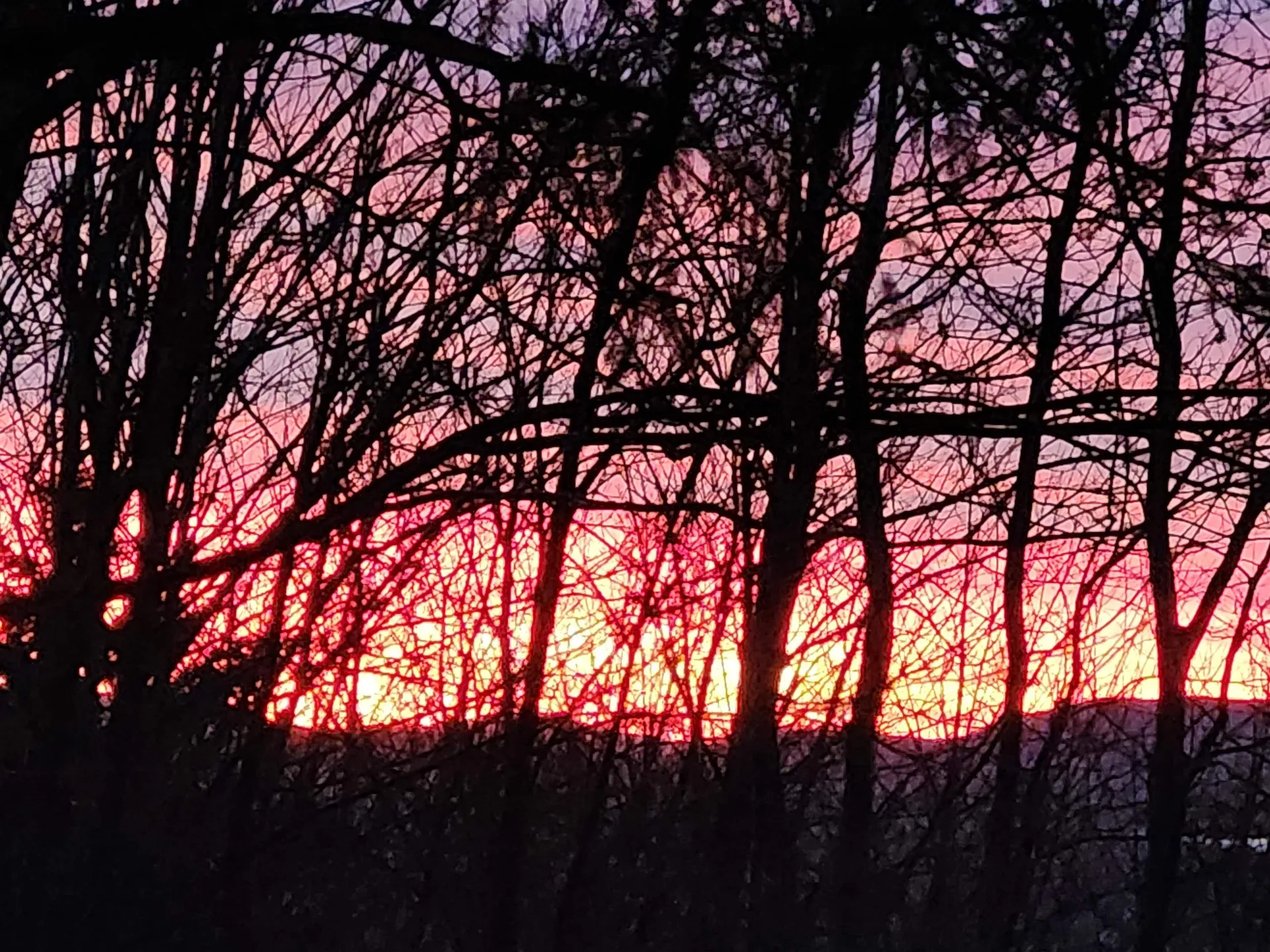 71 Weetamoo Trail Campton NH 03223