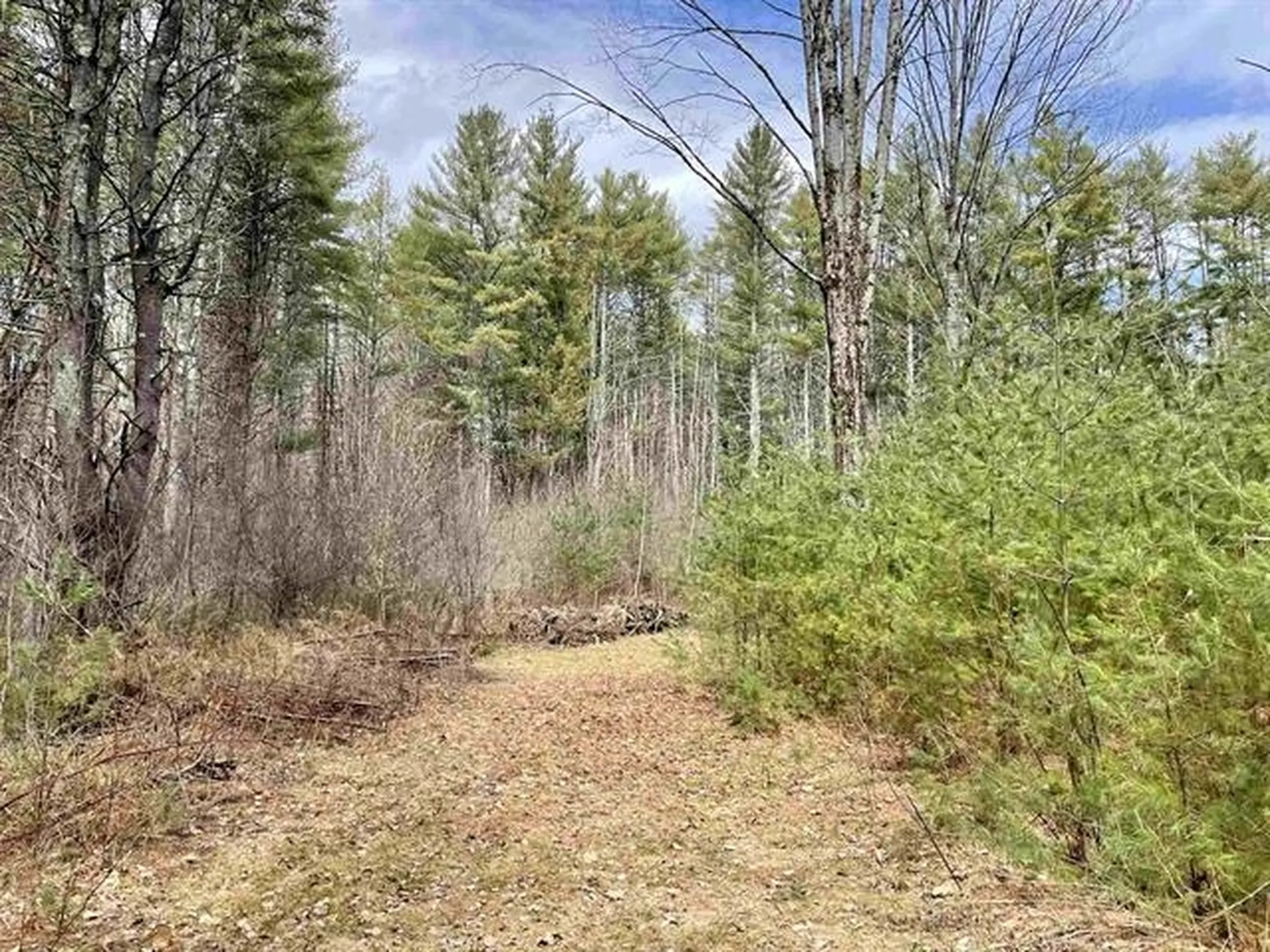 120 Trescott Road Hanover NH 03755