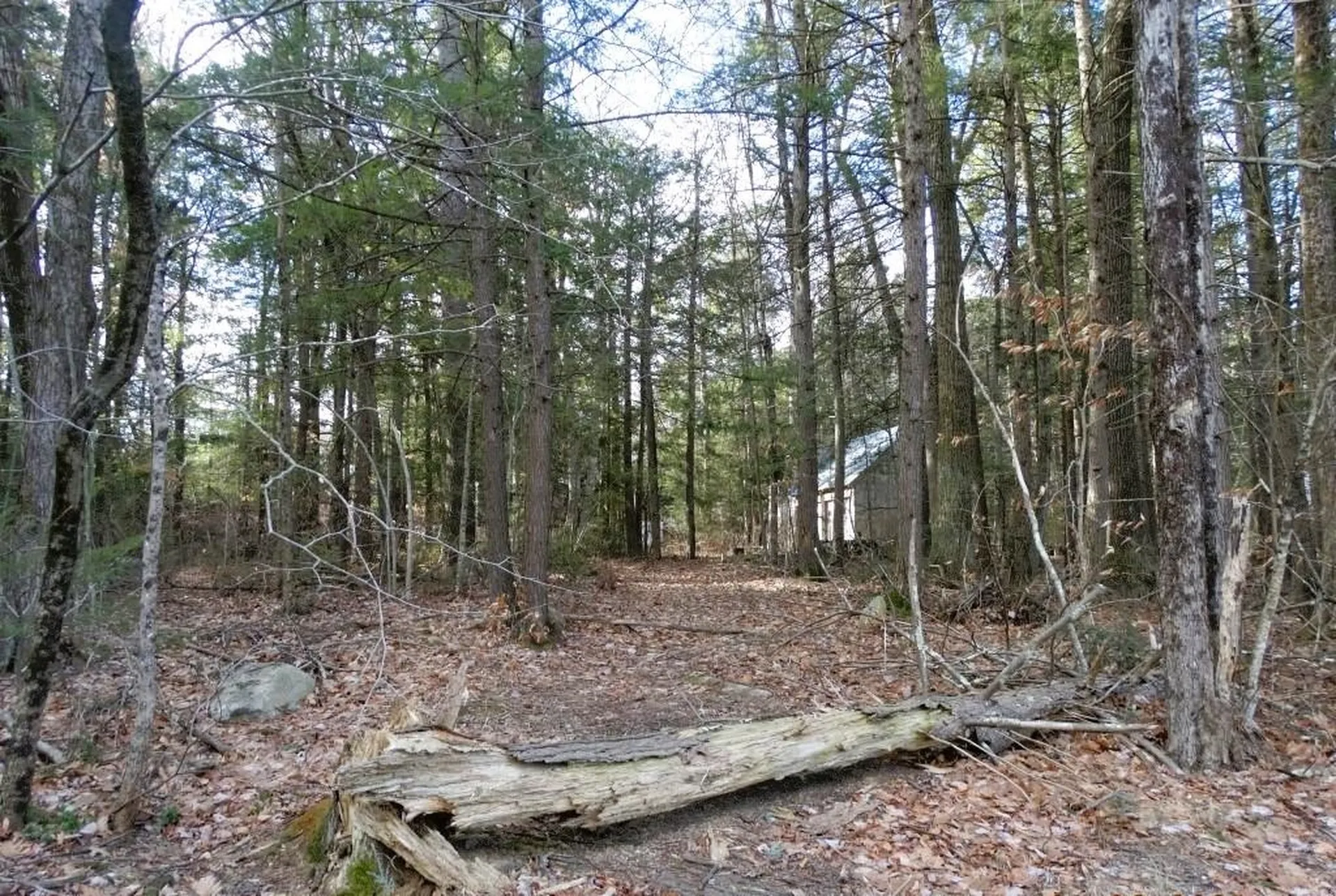 Marcy Hill Road Swanzey NH 03446