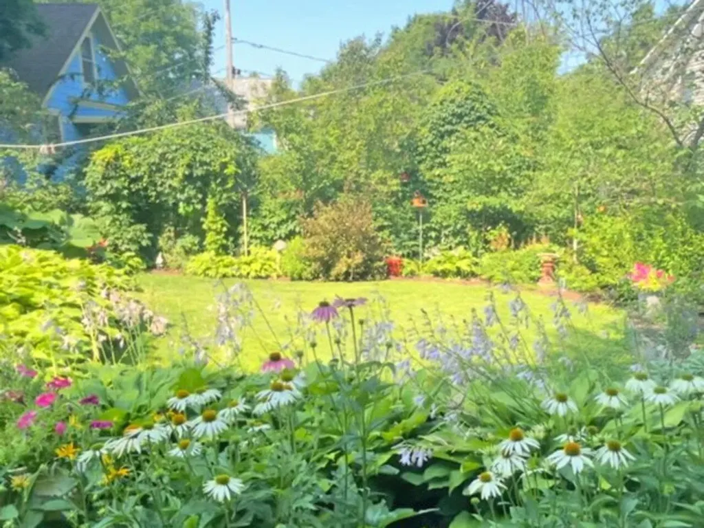 84 Howard Street Burlington VT 05401