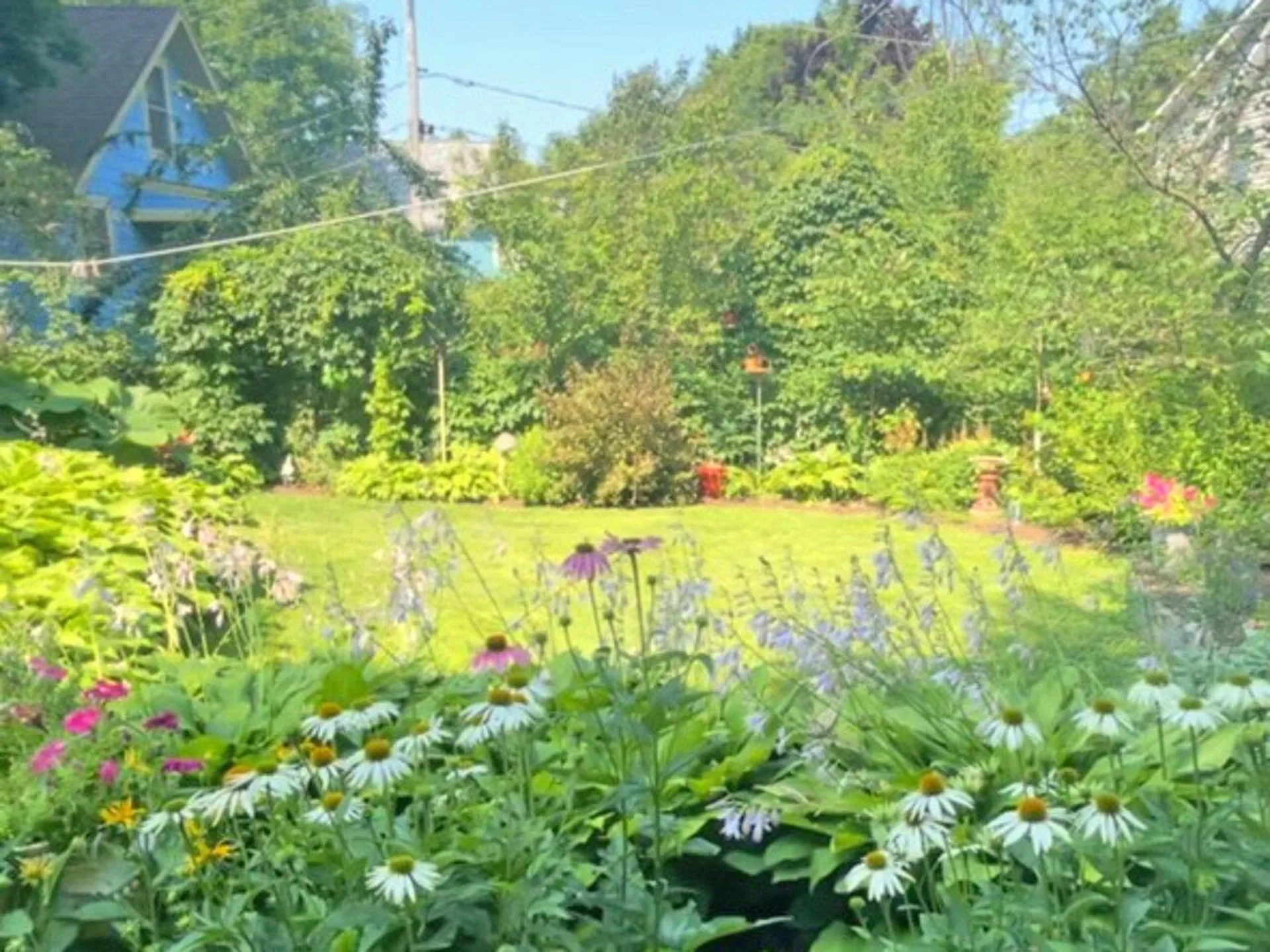 84 Howard Street Burlington VT 05401