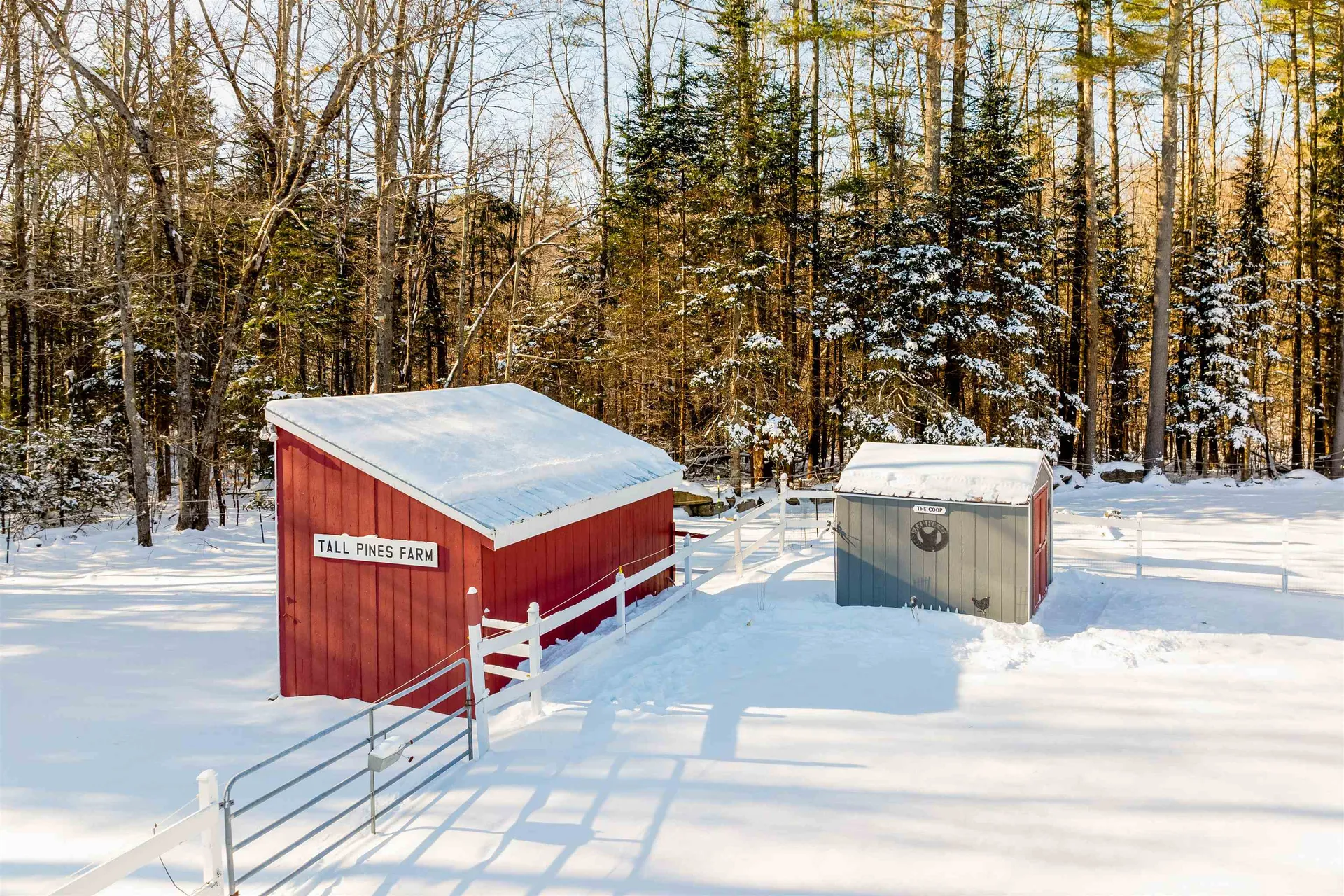 338 Four Corners Road Springfield NH 03284