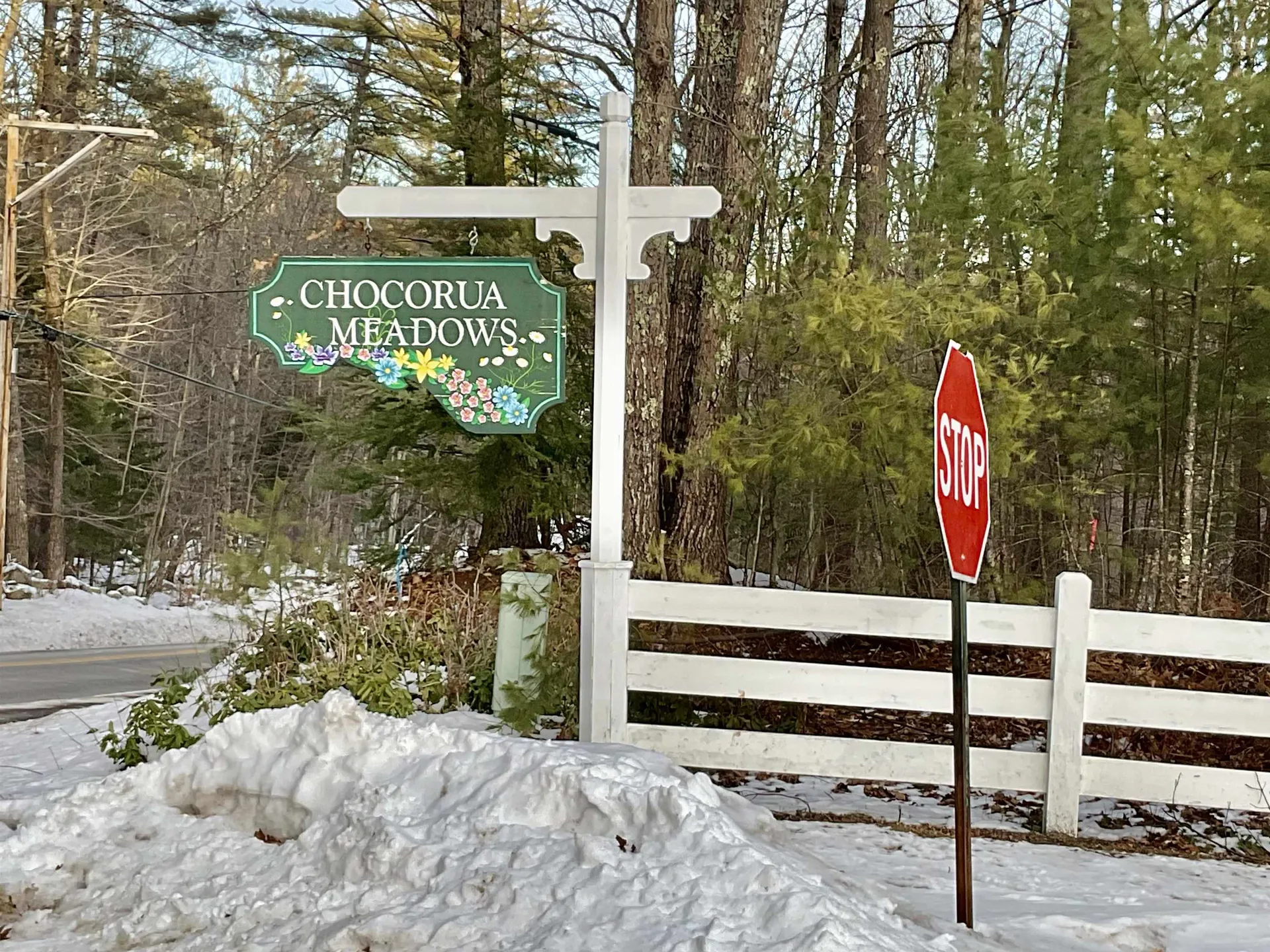 Lot 5 Benjamin Wentworth Drive Tamworth NH 03817