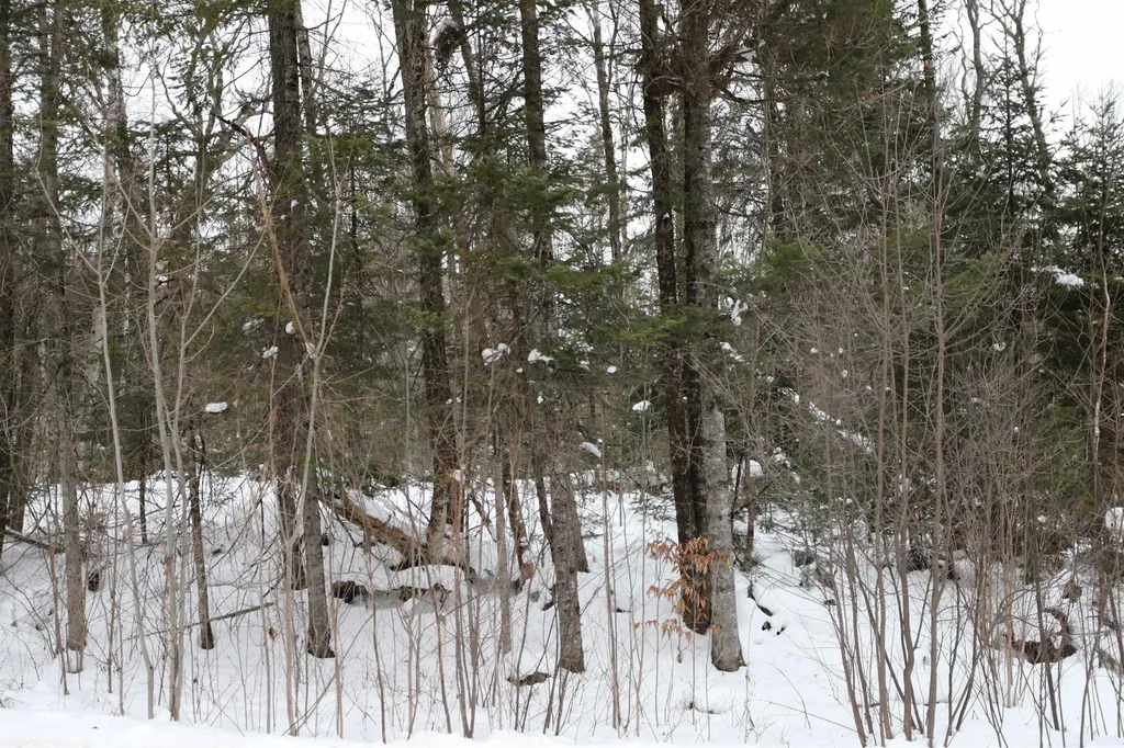 000 Sunset Drive Morgan VT 05853