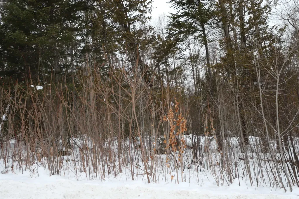 000 Sunset Drive Morgan VT 05853