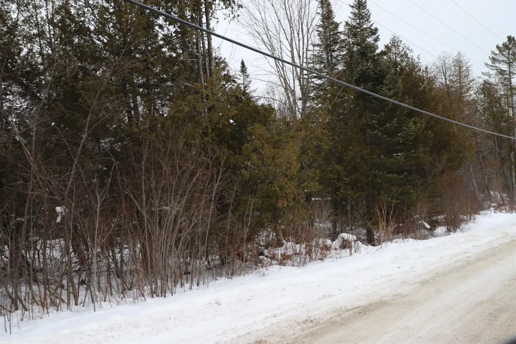 000 Sunset Drive Morgan VT 05853