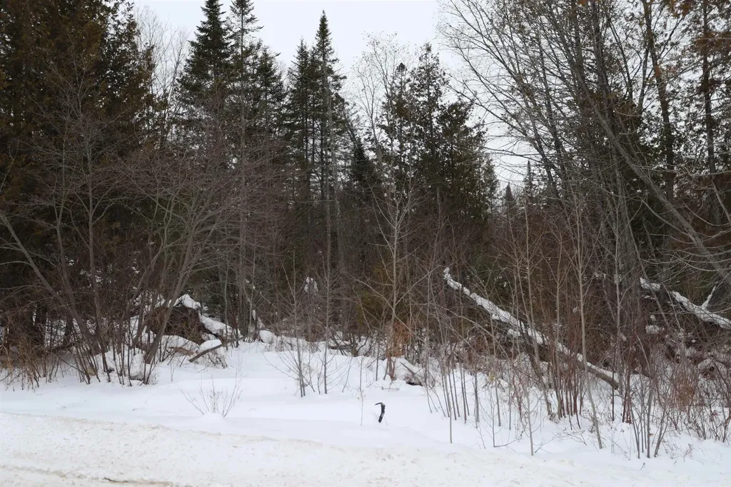 000 Sunset Drive Morgan VT 05853