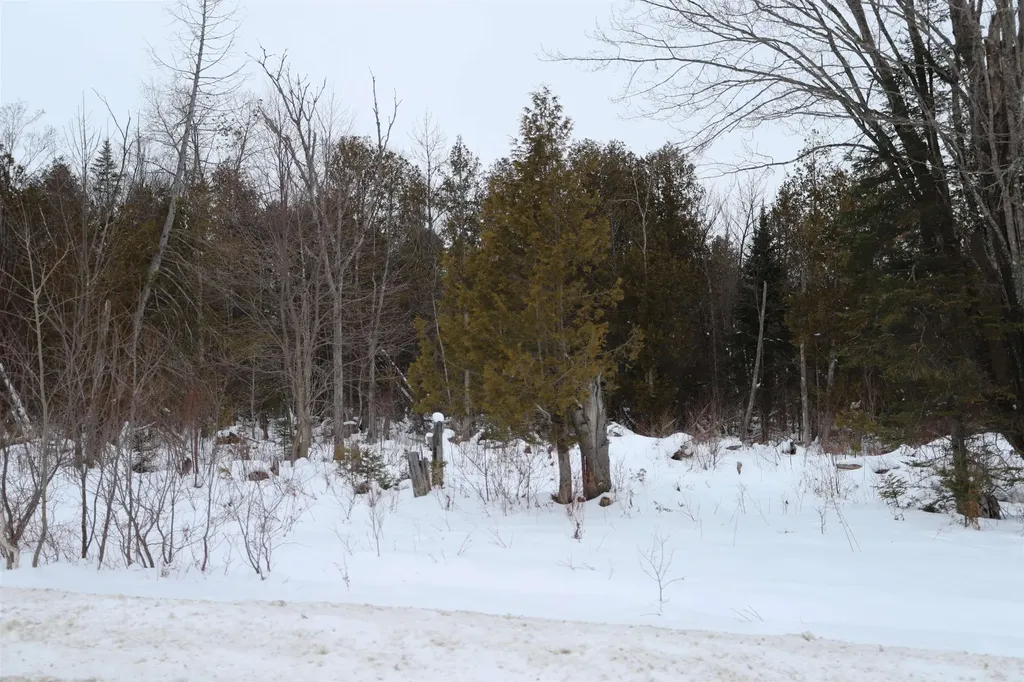 000 Sunset Drive Morgan VT 05853