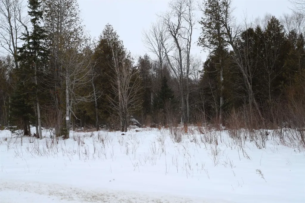 000 Sunset Drive Morgan VT 05853