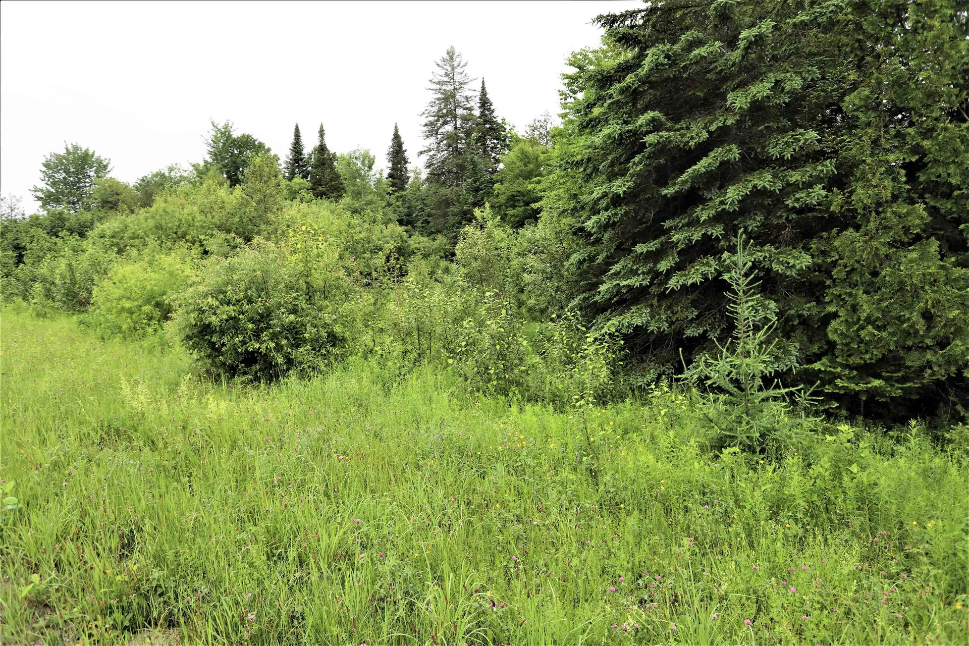 000 Sunset Drive Morgan VT 05853