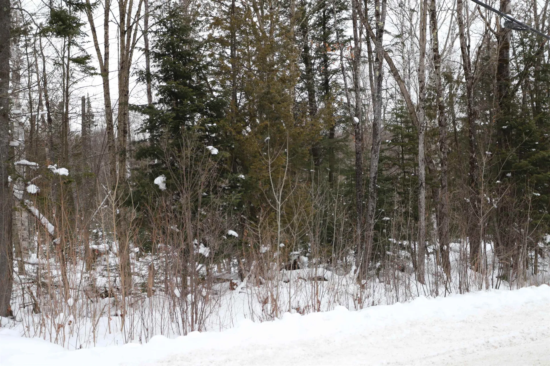 000 Sunset Drive Morgan VT 05853