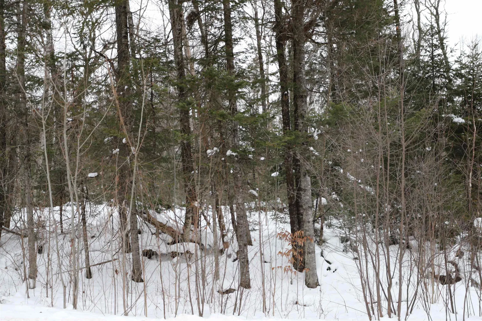 000 Sunset Drive Morgan VT 05853