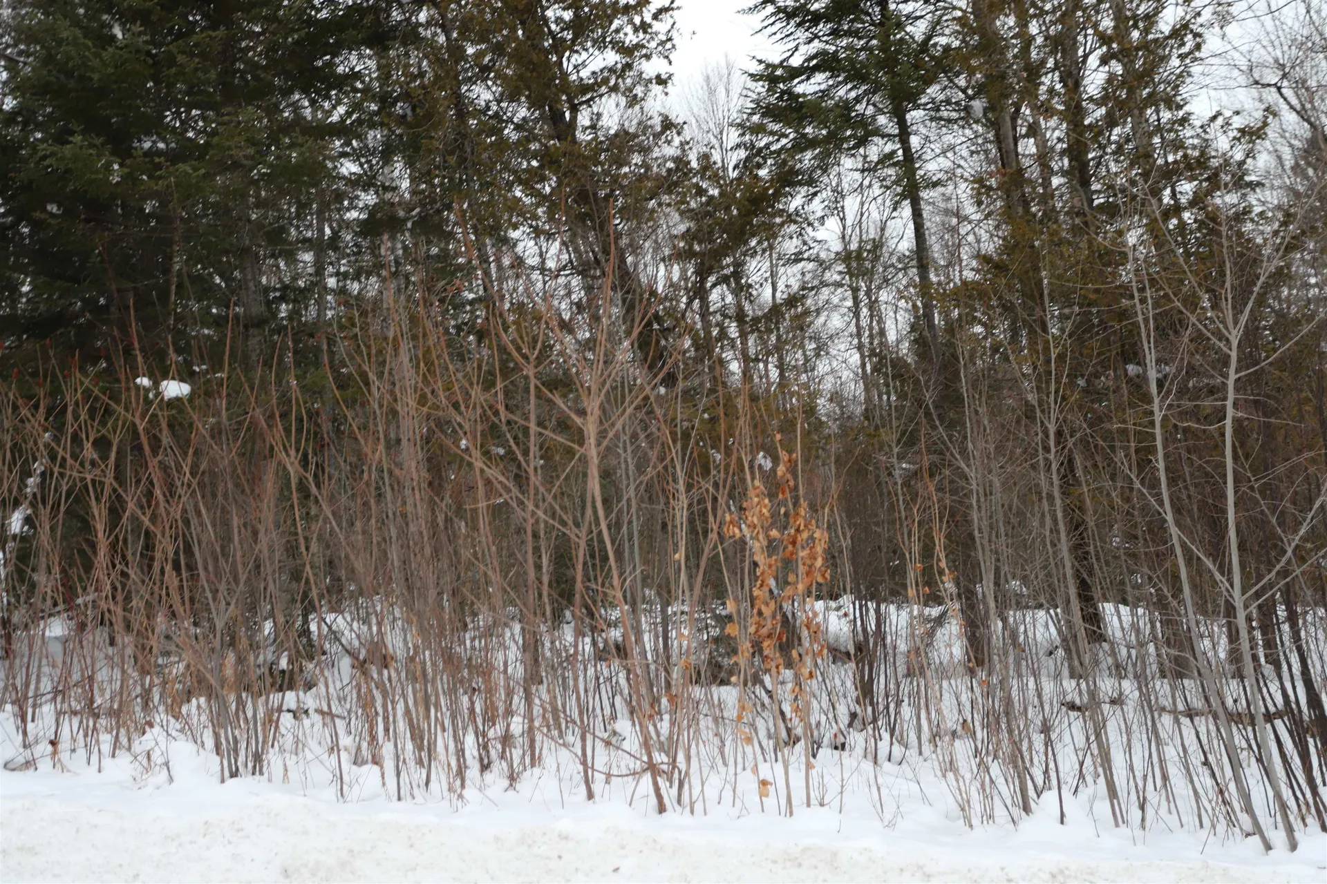 000 Sunset Drive Morgan VT 05853