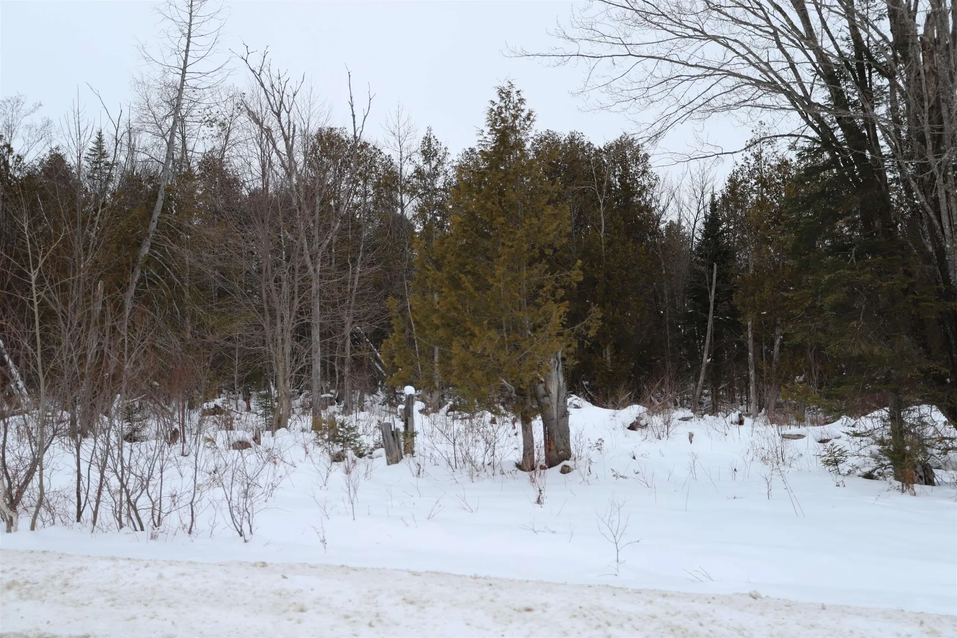 000 Sunset Drive Morgan VT 05853