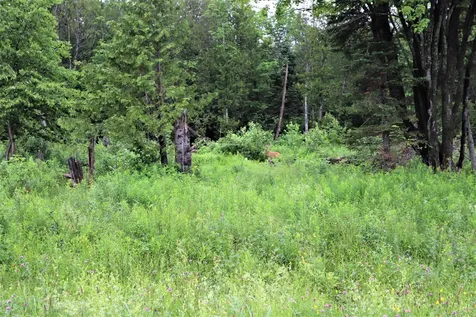 000 Sunset Drive Morgan VT 05853