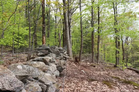 324 Water Village Road Ossipee NH 03864