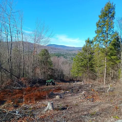 189 River Road Groton NH 03266