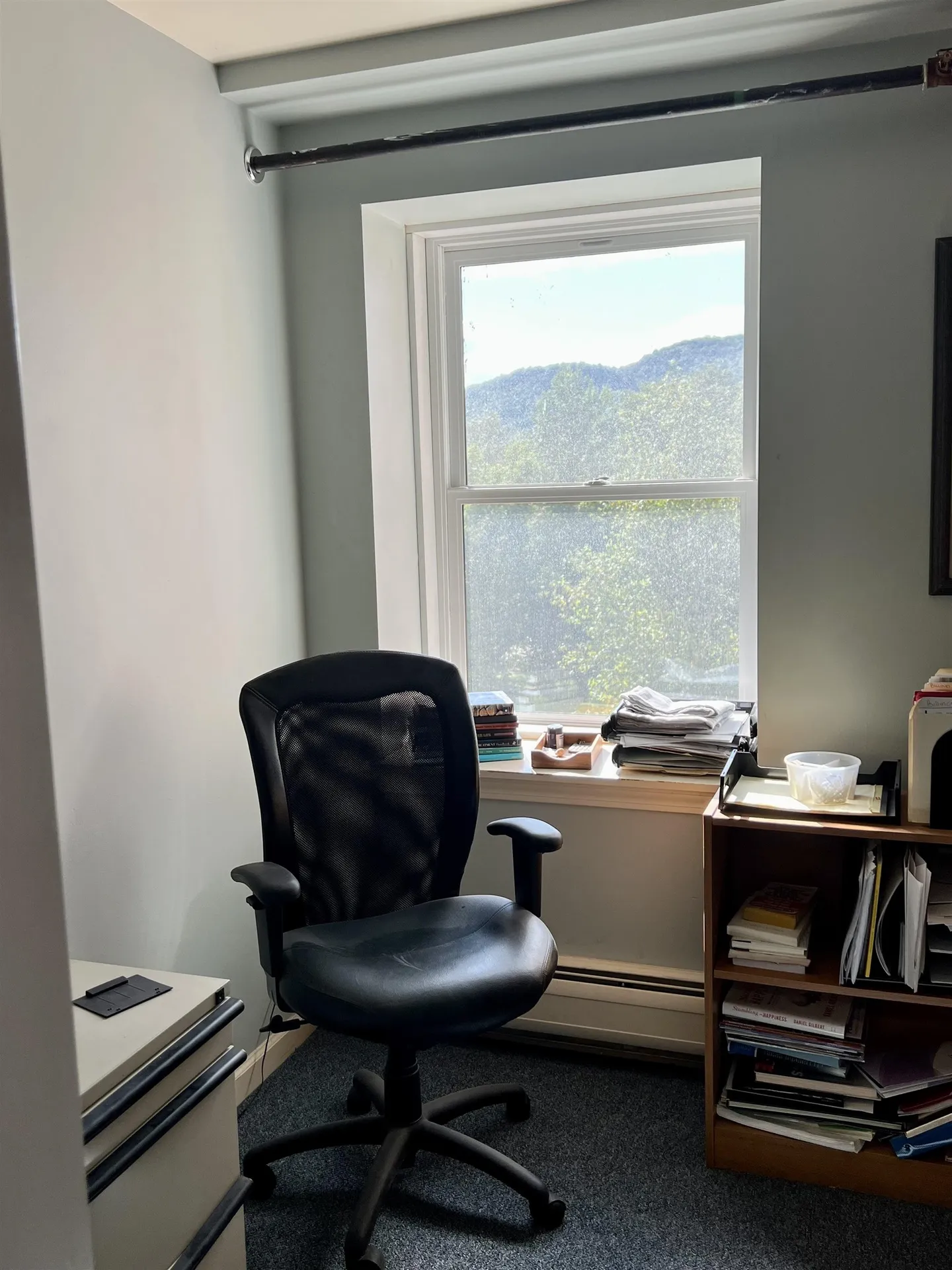 21710 Maxham Meadow Way Woodstock VT 05091