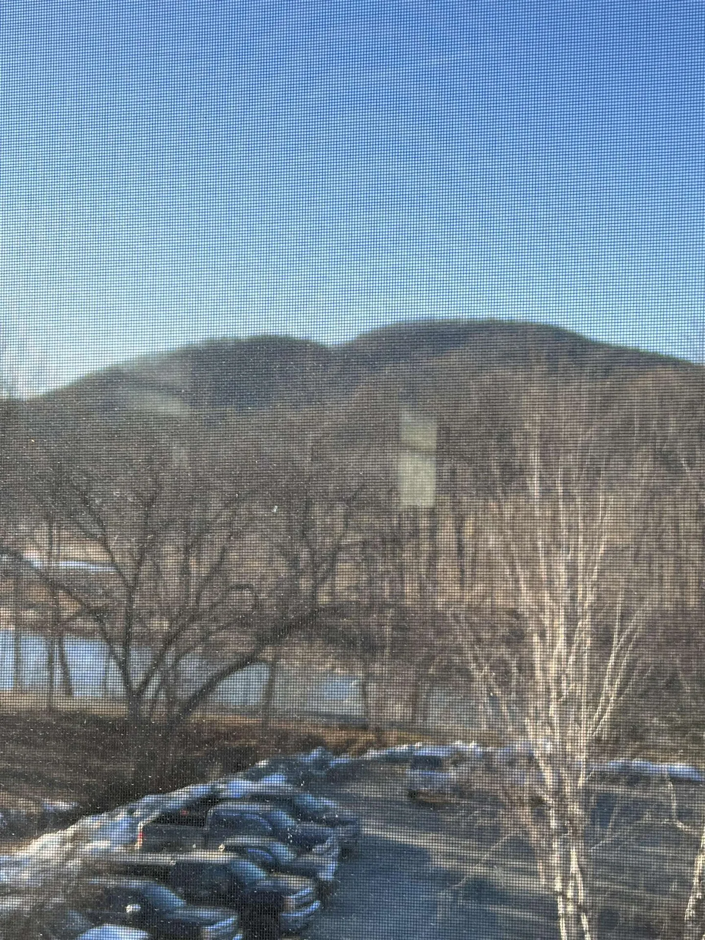 21710 Maxham Meadow Way Woodstock VT 05091